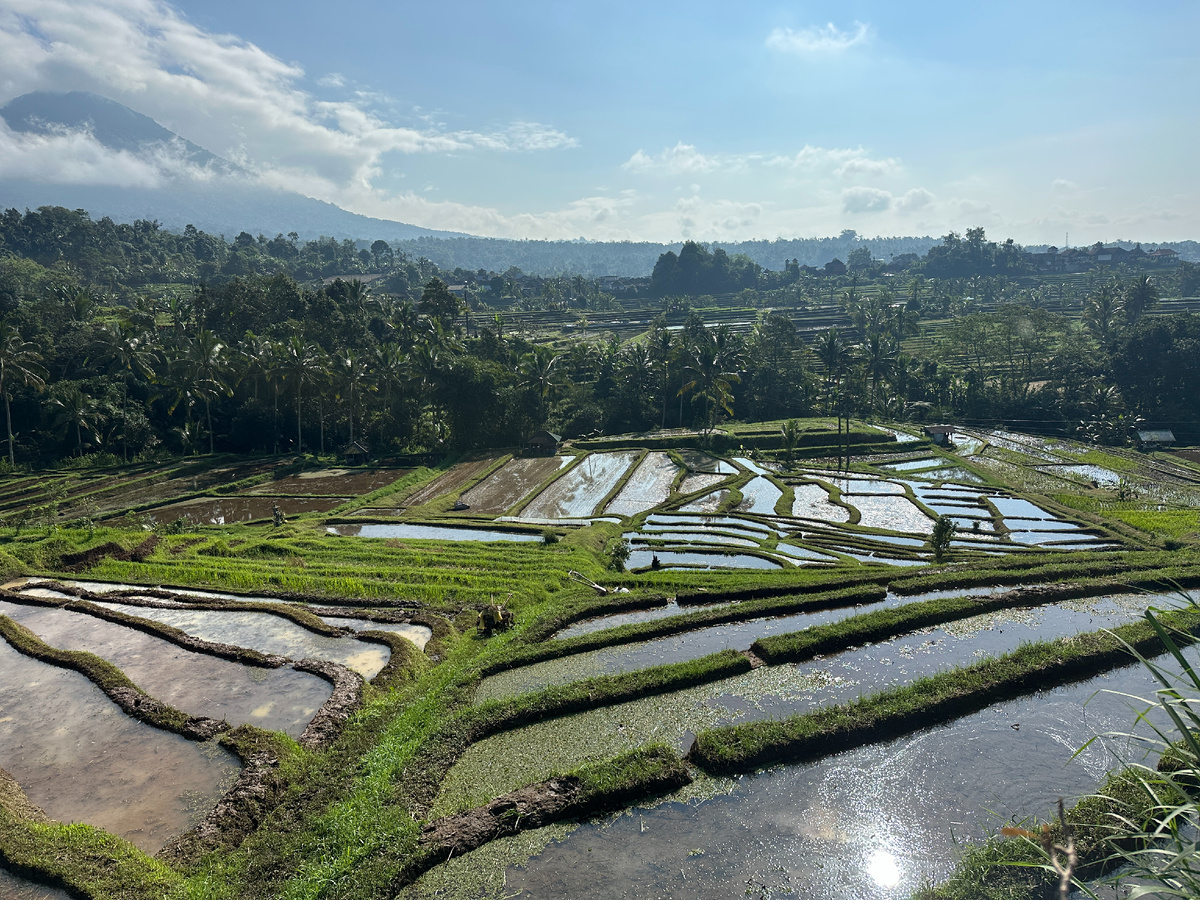Террасы Джатилувих