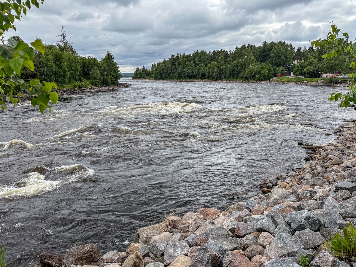 Лосевские пороги, 2025 (автор Юшина Екатерина)