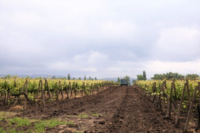    admkrai.krasnodar.ru