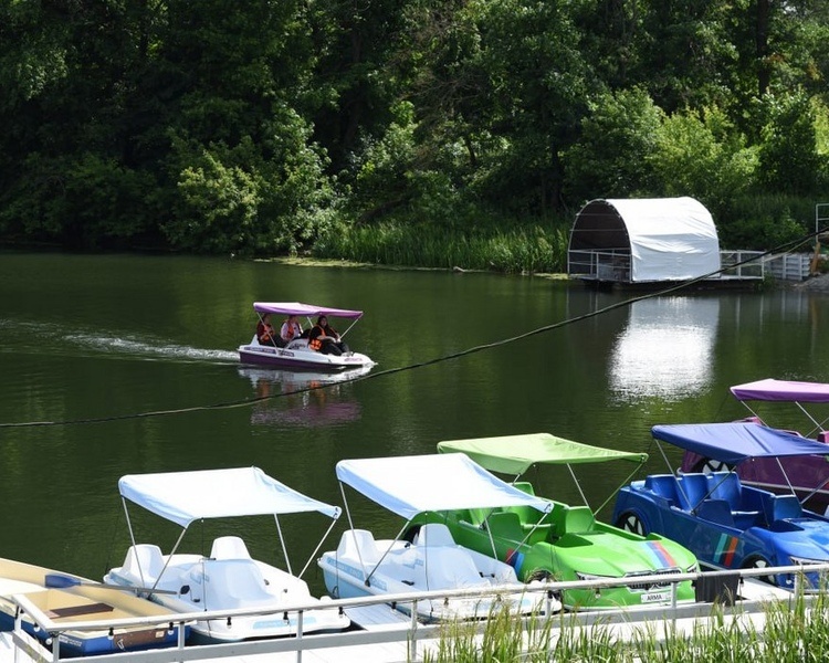     Хинштейн раскритиковал пляж «Боевки» в Курске за неудобства для инвалидов