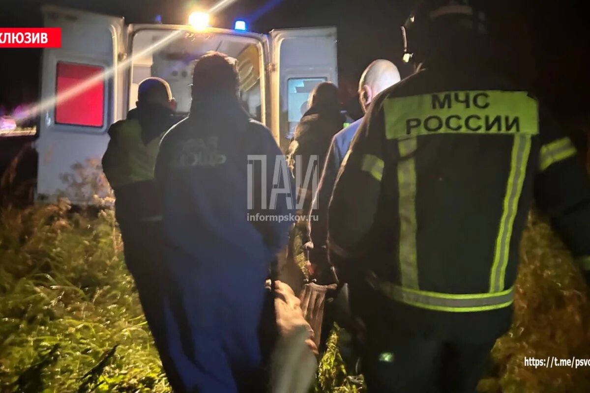    Мужчина на глазах отца упал с железнодорожного моста в Острове