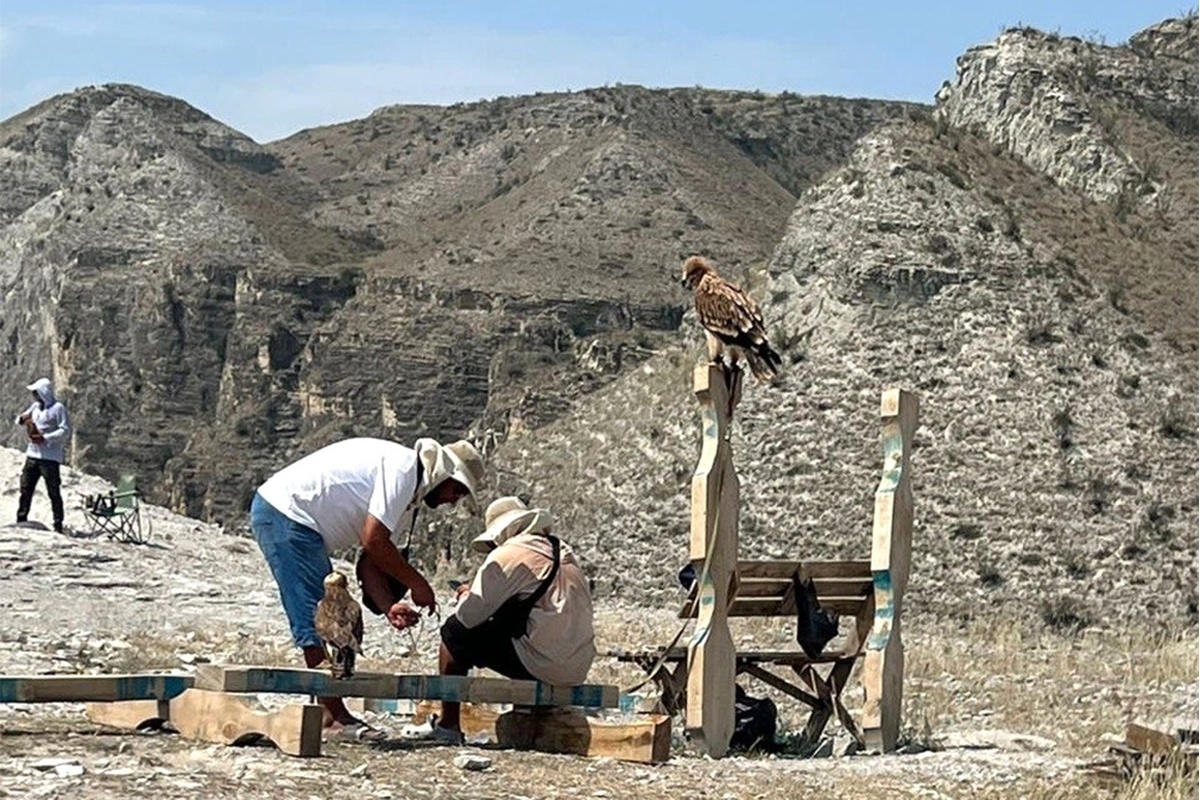    Фото: Министерство природных ресурсов и экологии РД, источник: mprdag.e-dag.ru