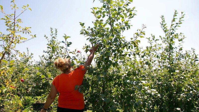      Фото: Валерия Алтухова / / ИА «Победа26»