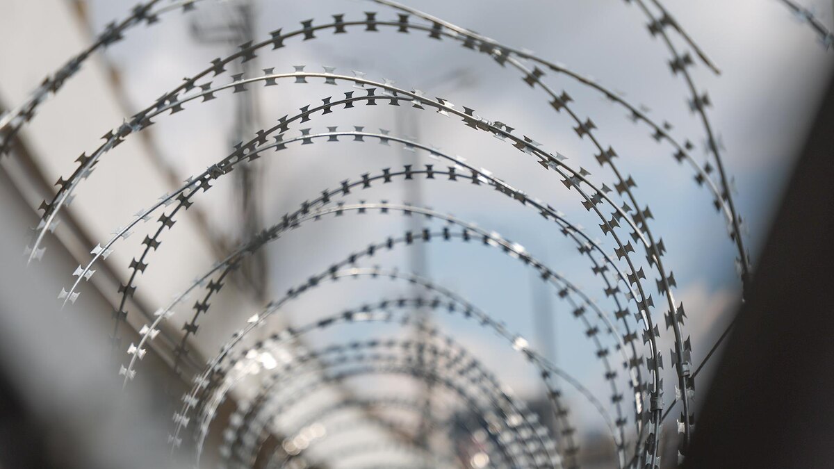    Фото: Belkin Alexey/globallookpress.com