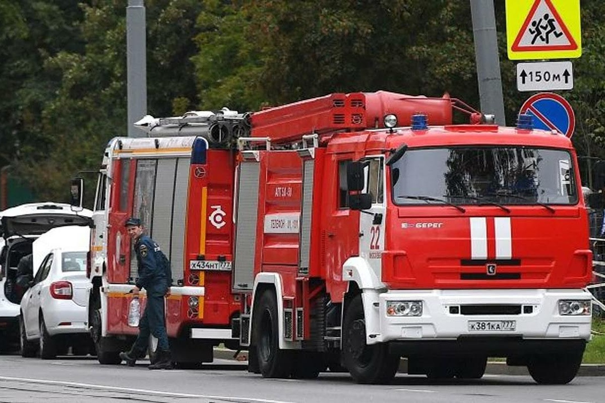    Фото: Кадр из видео на youtube.com, источник: Видео Новости в Тренде