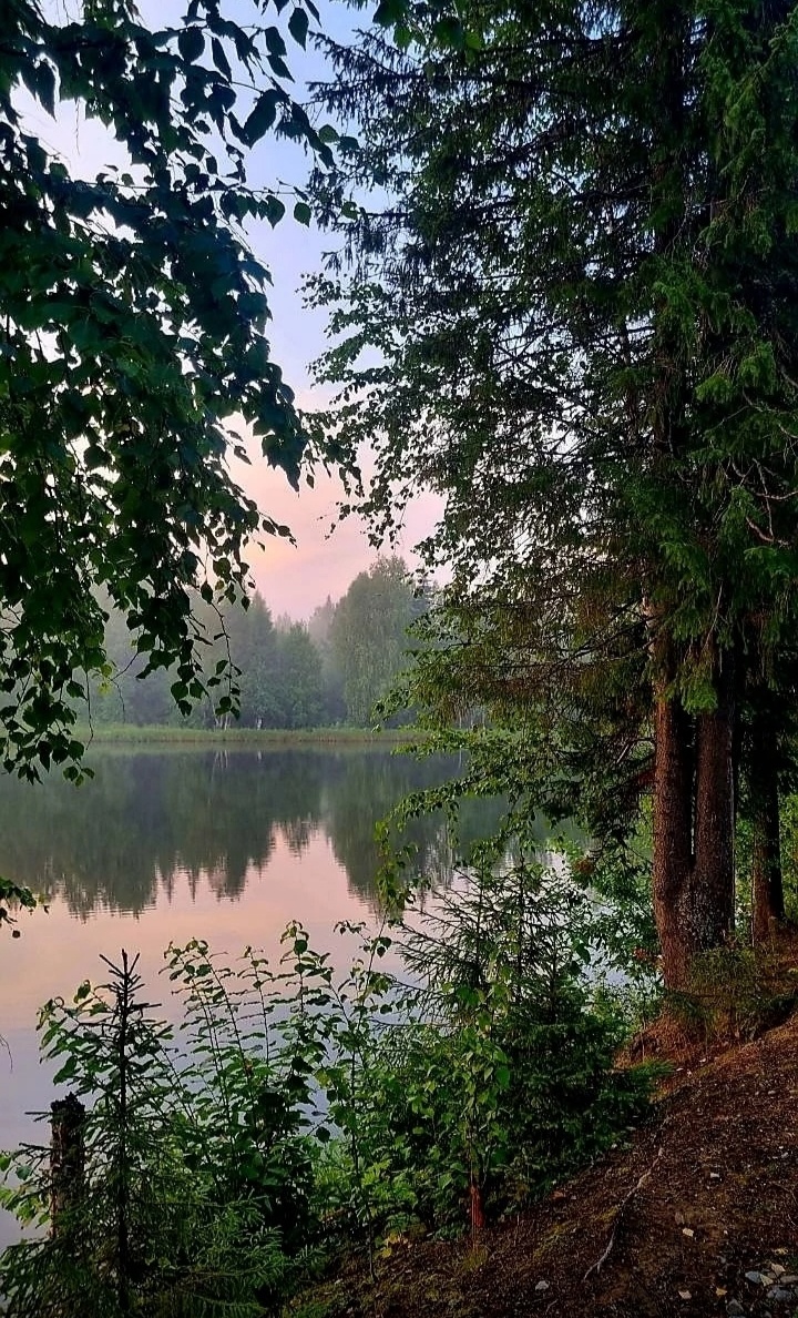 Фото из интернета 