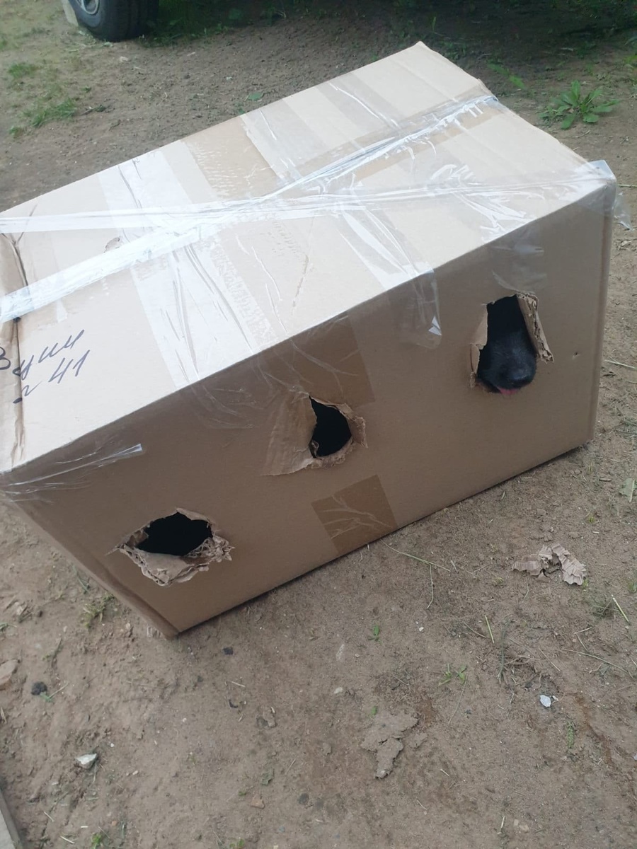 Вот так это выглядело