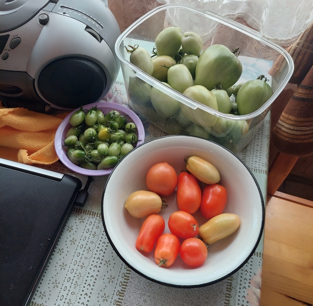 Фото автора.