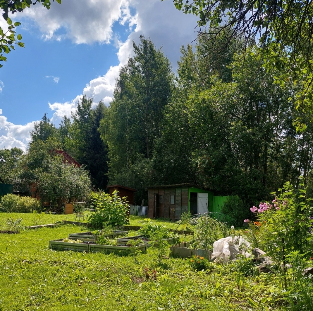 Фото автора.