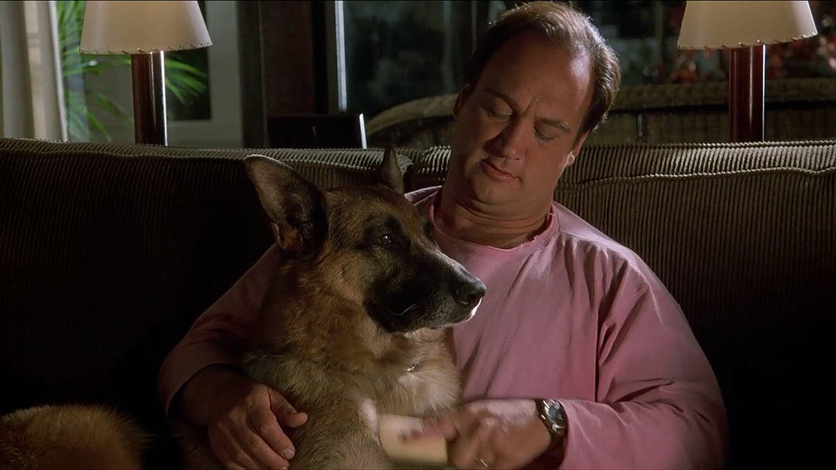 Кадр из фильма К-911 (1999)