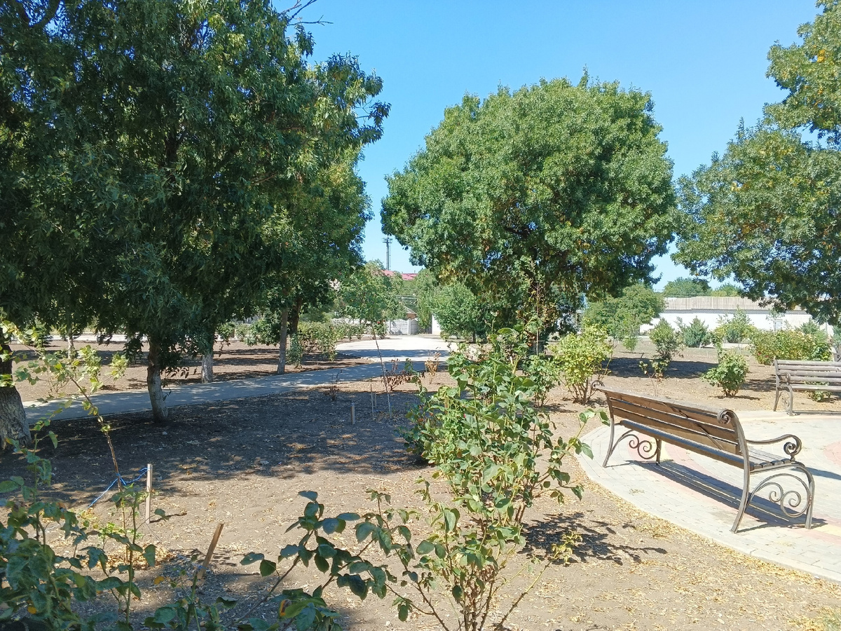 Парк. Фото Галины Малышевой.