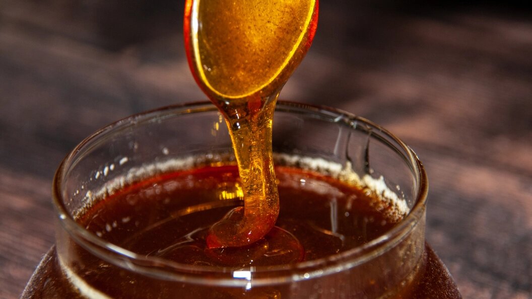    Фото: Svetlana Vozmilova/Globallookpress