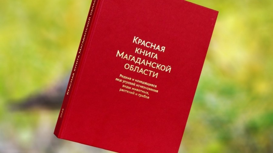 Фото: magadanpravda,ru