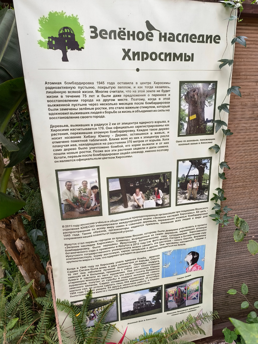 (© Анна, «Маяк энерджайзера»)