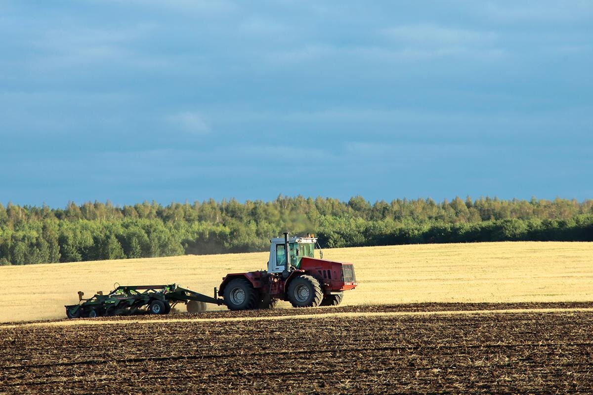   vladimir salman / Shutterstock / FOTODOM