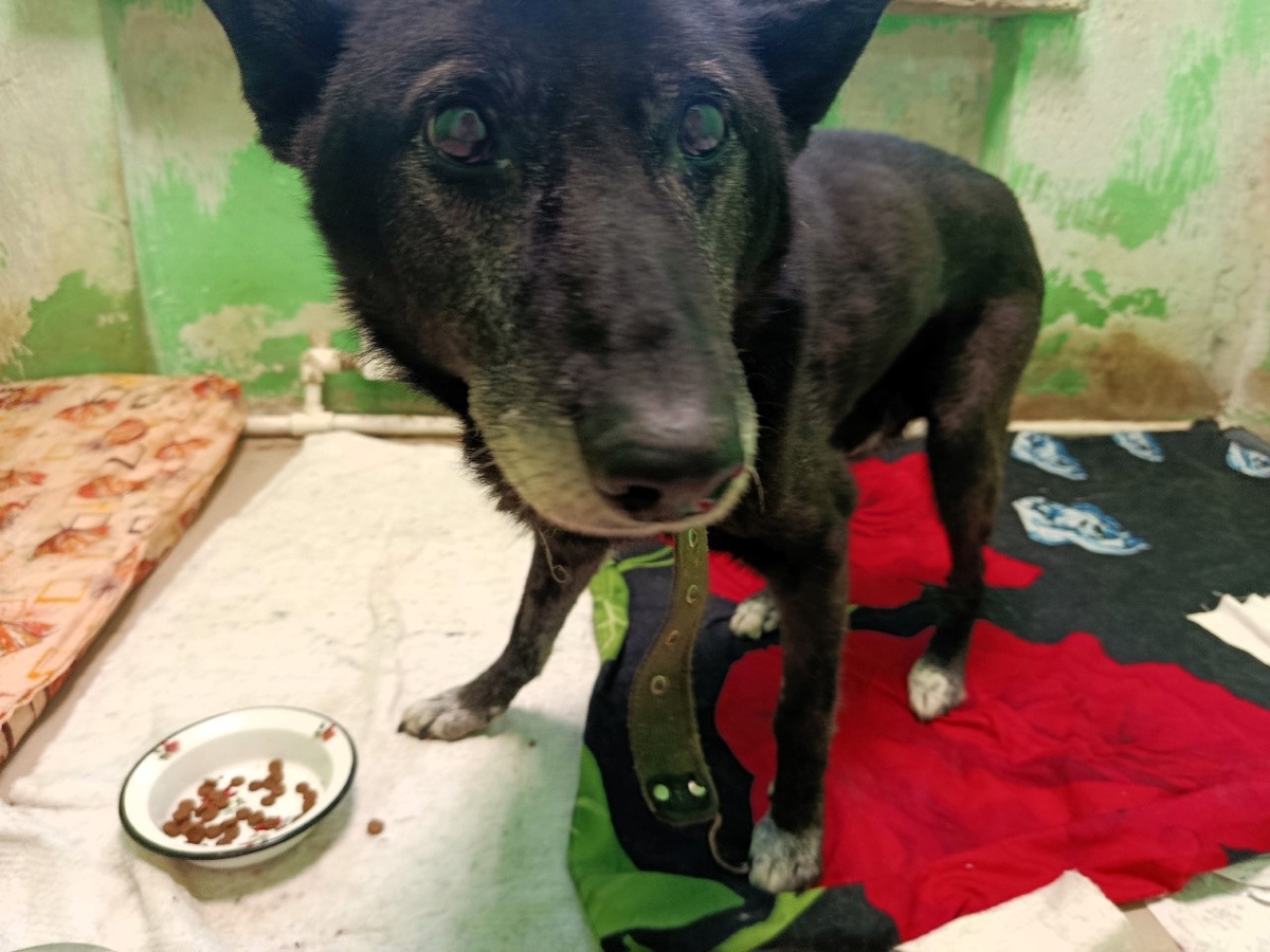 Блэк тоже не сдается, хотя его положение посерьезнее