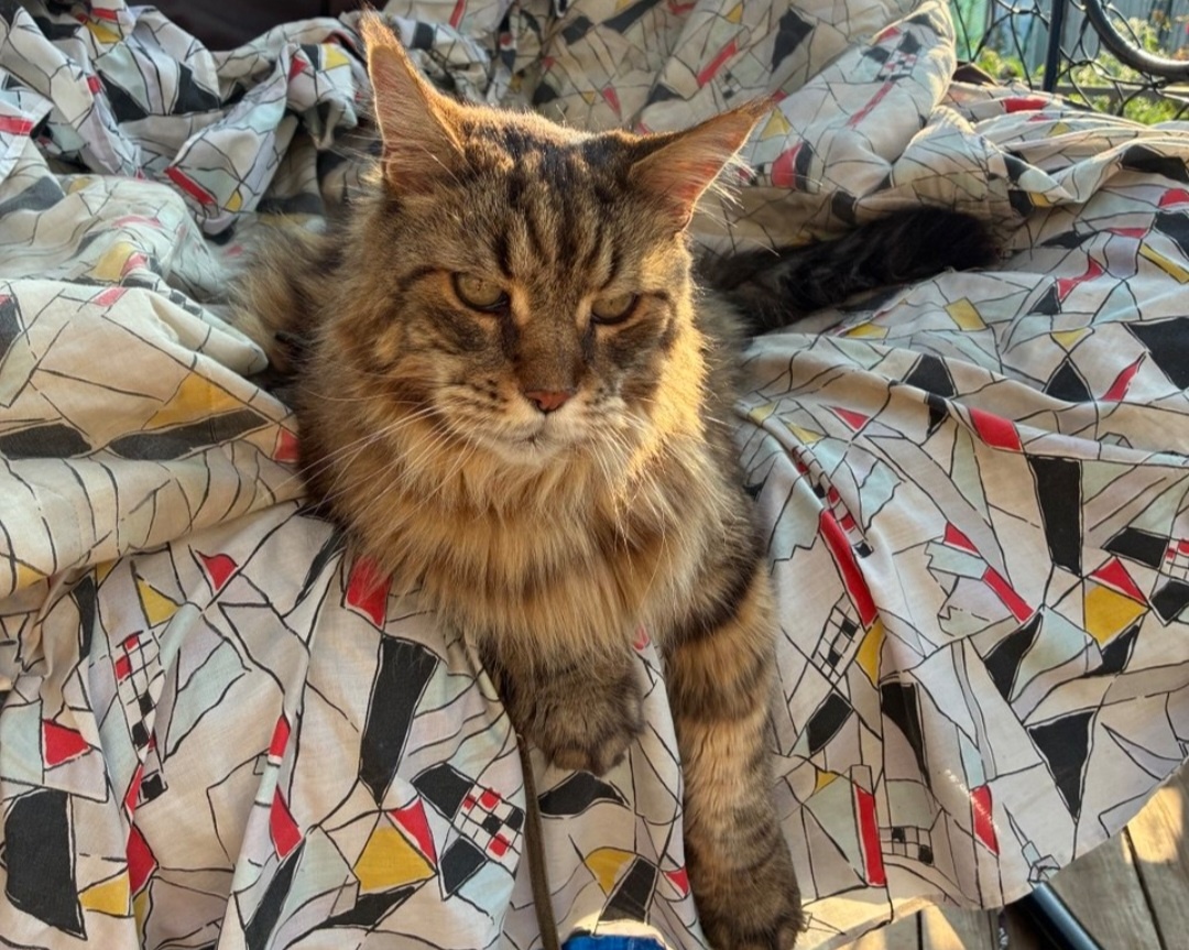 На качельке