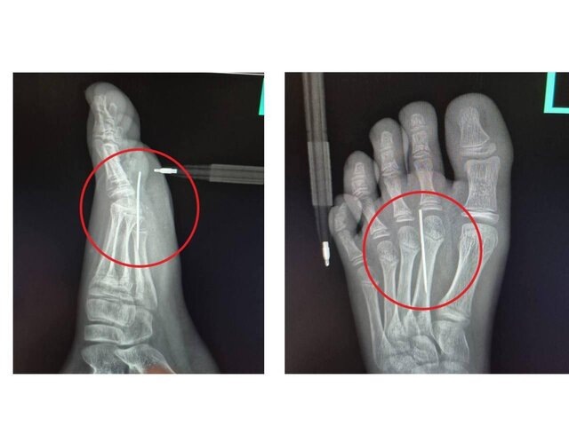    Фото: министерство здравоохранения Московской области/