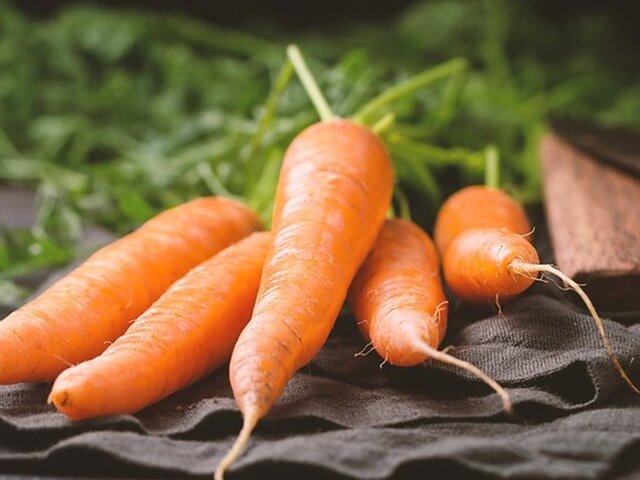    Фото: 123RF/roxiller