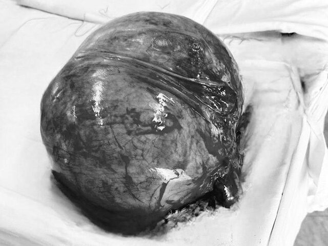    Фото: министерство здравоохранения Московской области/