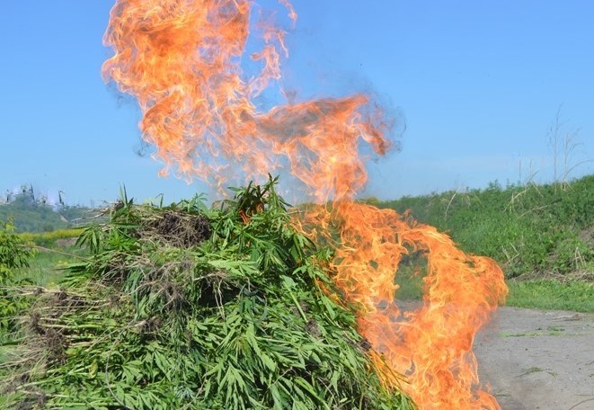    ???????????????????????????????????? Александра Позднякова