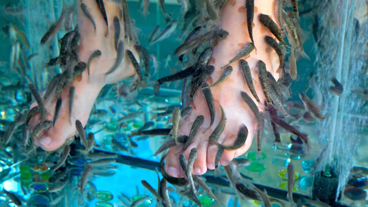 Фото: Aleksander Lyskin/globallookpress.com