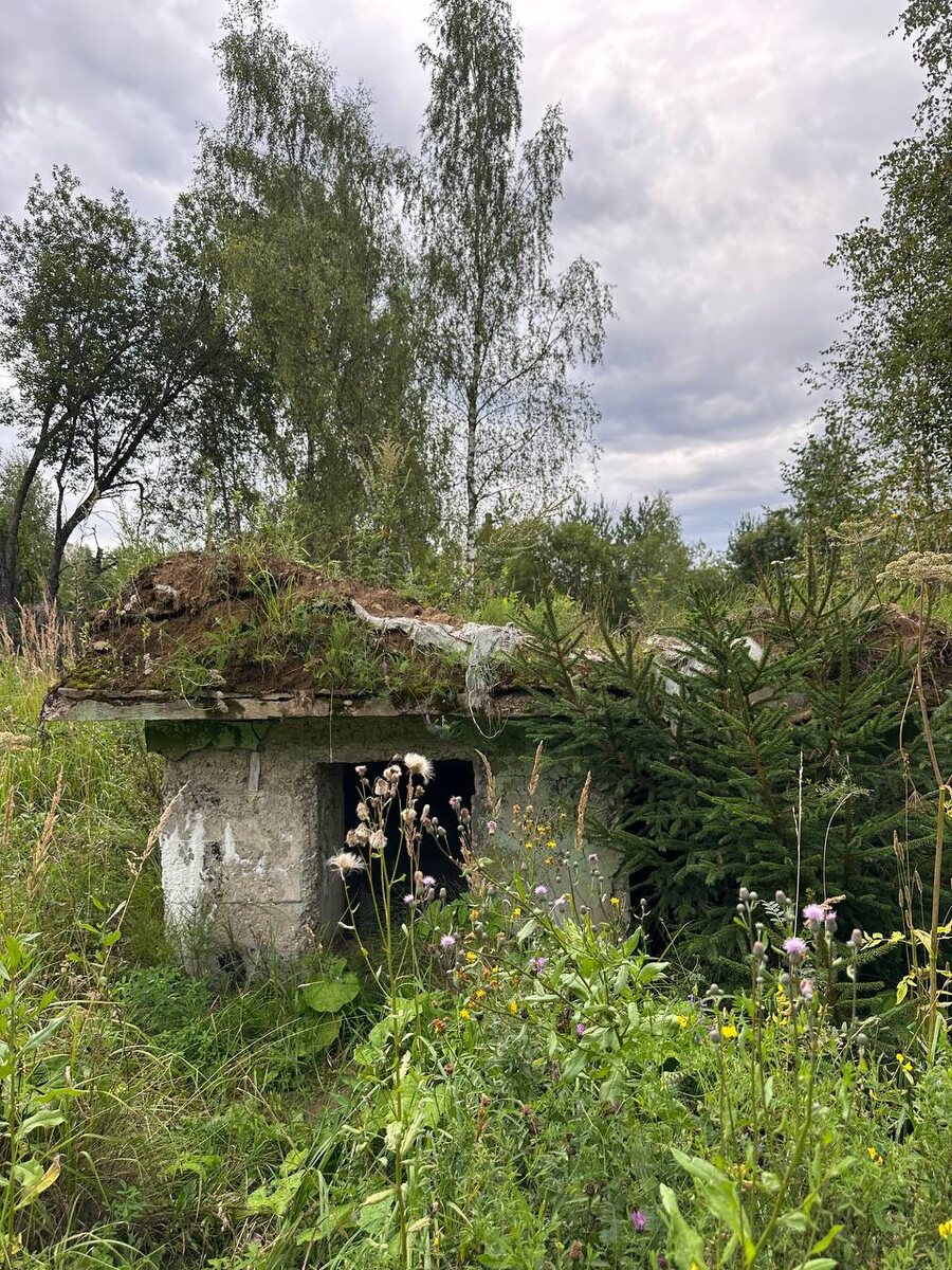 Эти места не просто заброшены — они будто не хотят, чтобы их тревожили...