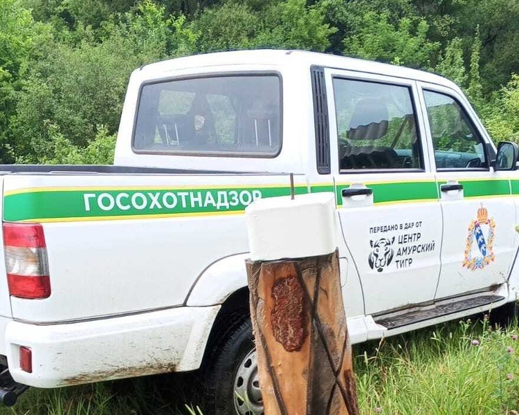     В Курской области составили 6 протоколов за установленные сети для добычи бобра и норки