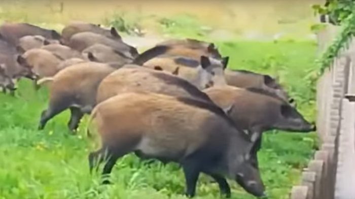 Фото "Мой район - Тогучинский".