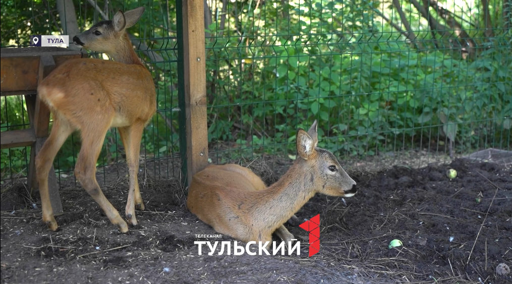 -2
