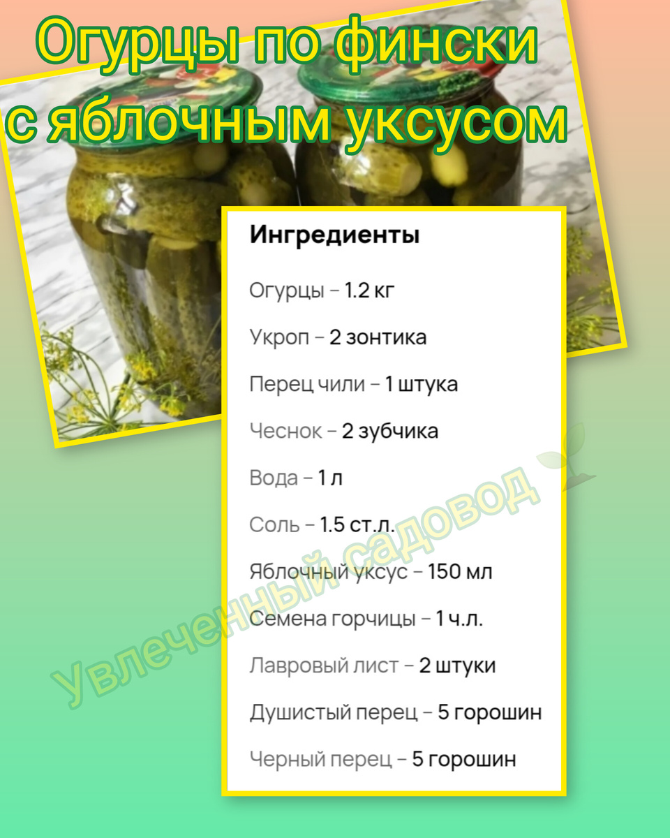 коллаж автора