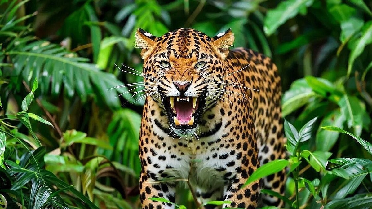    Изображение создано при помощи ИИ