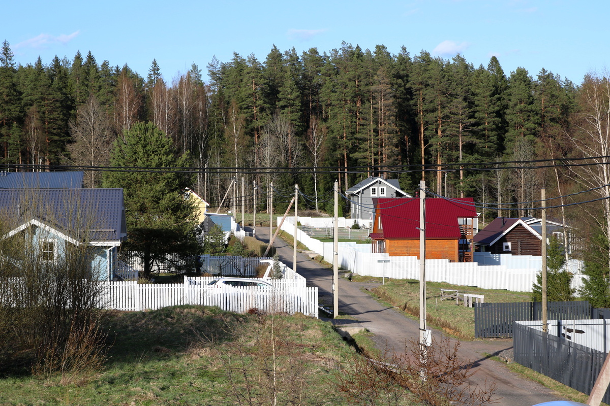    Источник: Максим Константинов/ТАСС