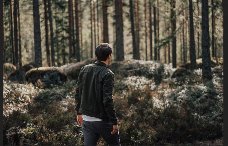 Фото из открытого источника в Яндексе