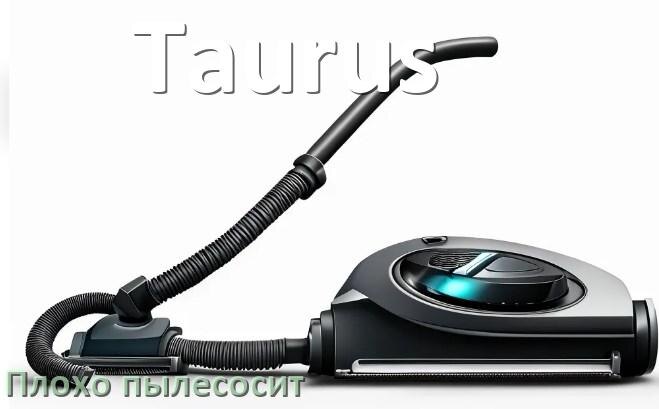 
Почему пылесос Taurus плохо всасывает и не тянет что делать