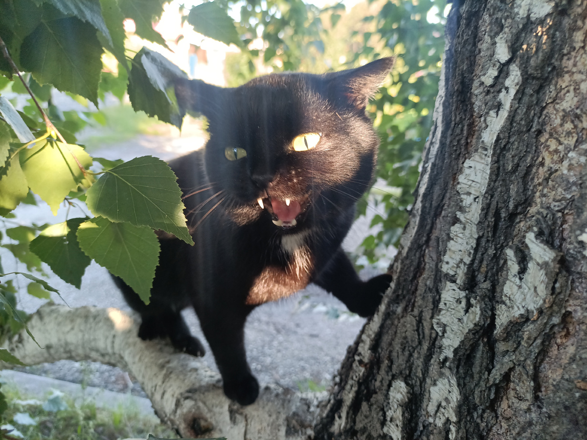 Очень громко требовать