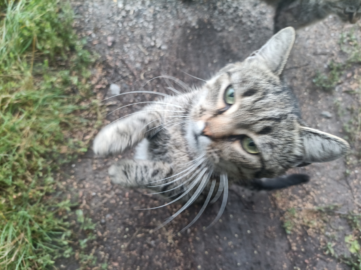 Этот товарищь присоединился следом