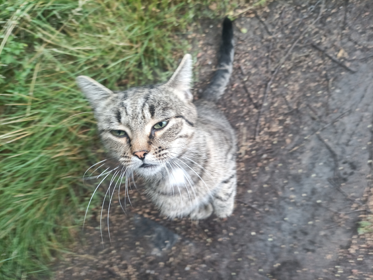 Всегда так делает