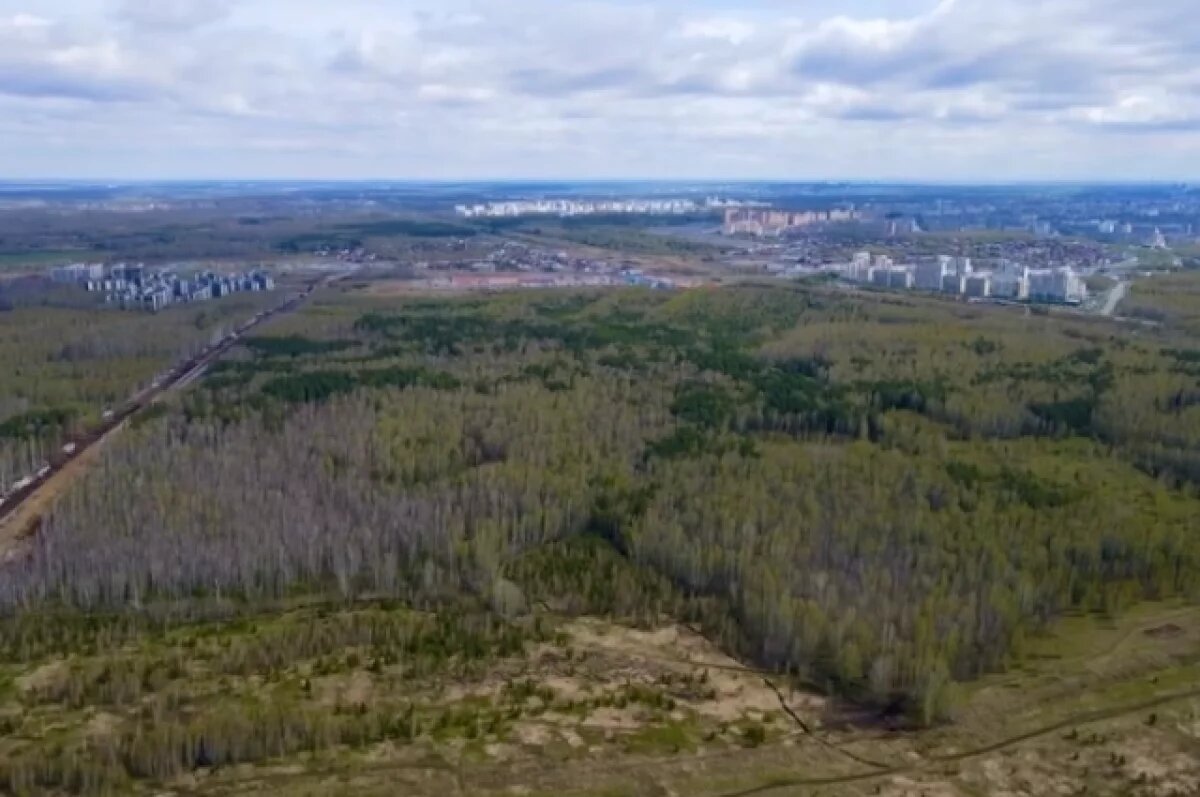    В Сосновском районе под застройку планируют отдать почти 180 га земель