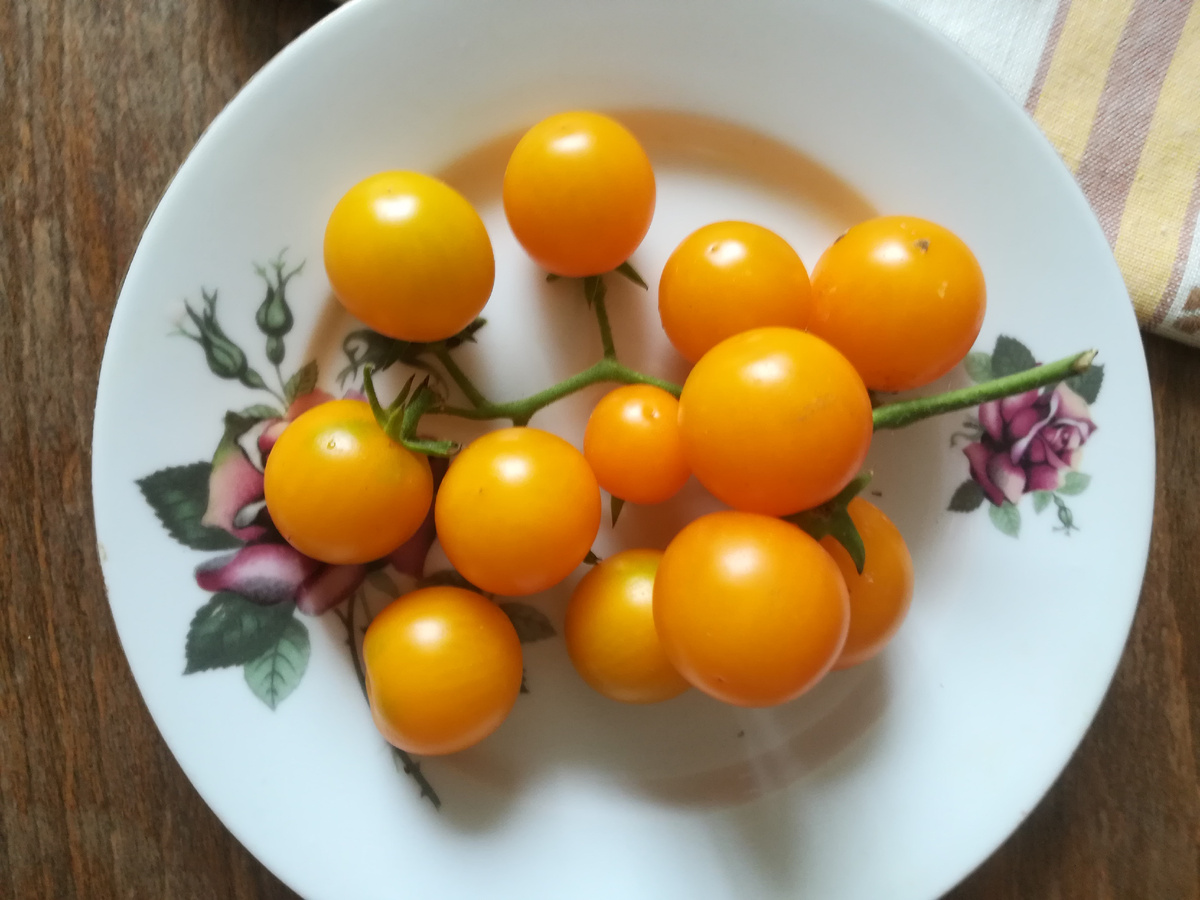 Обычная кисть "Карамели жёлтой"