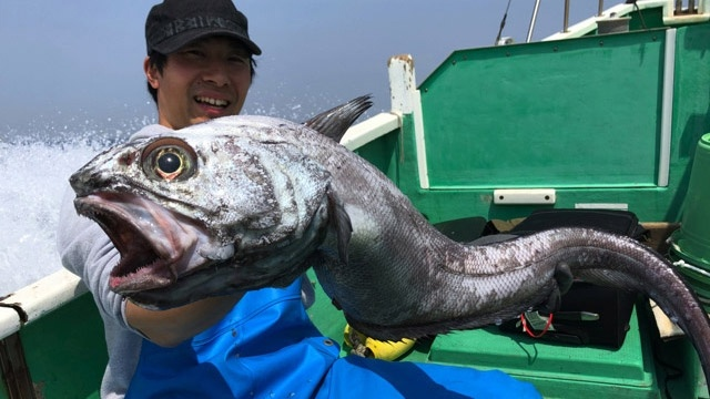 К сожалению, это не генерация ИИ...