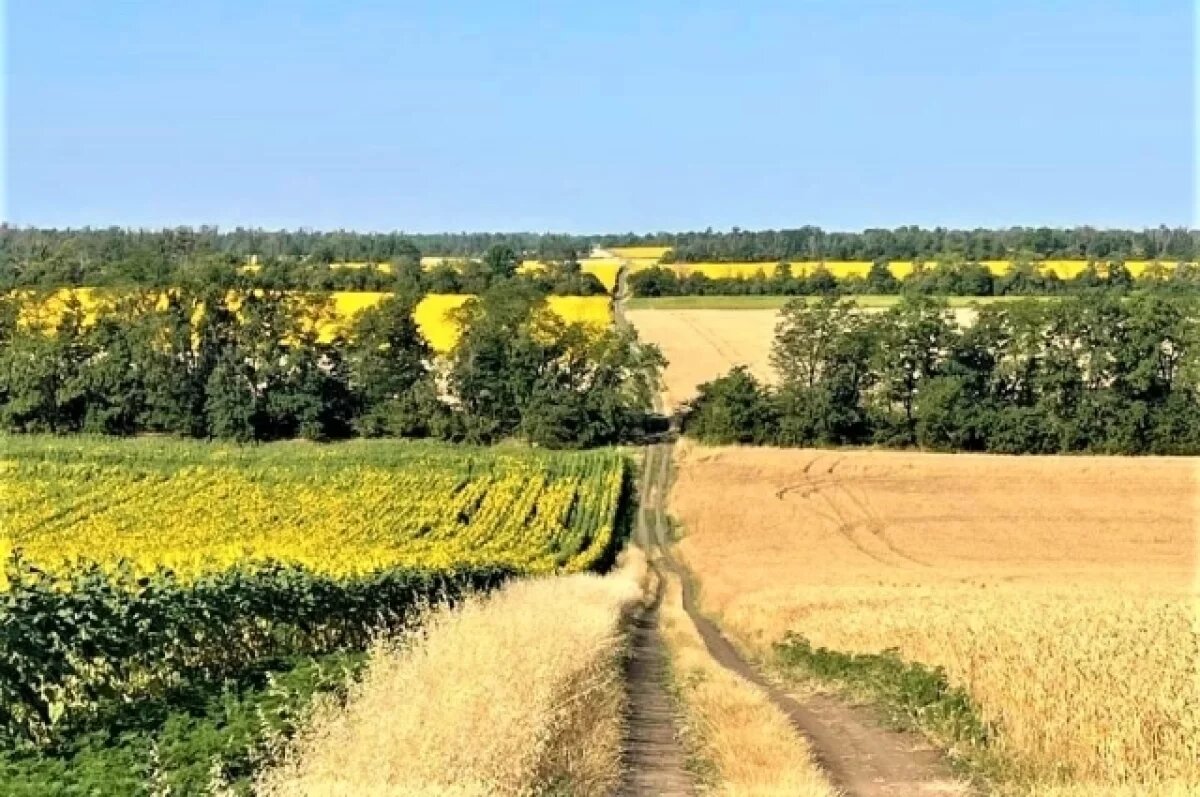    На Кубани запретят создавать садовые участки на землях сельхозназначения