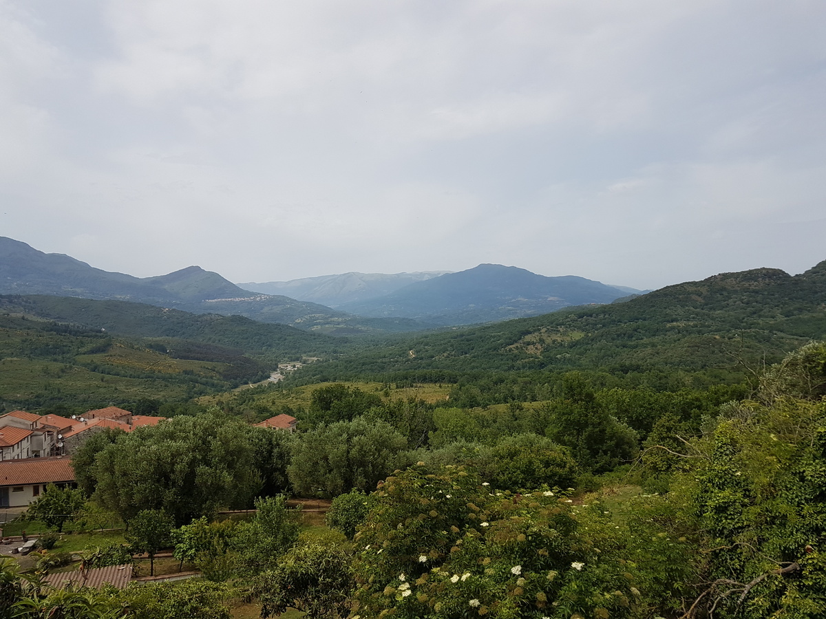 Это вид с террасы. Фото из архива автора 