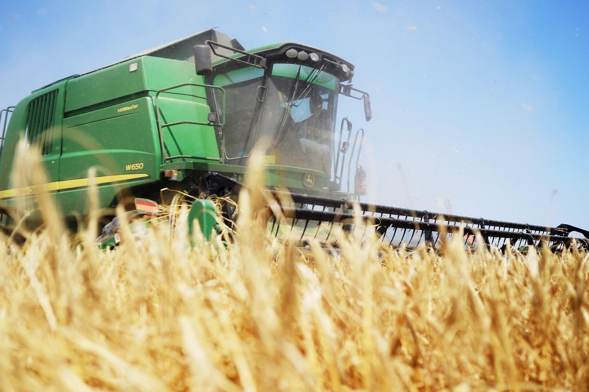    Фото: Алексей Майшев, источник: ria.ru