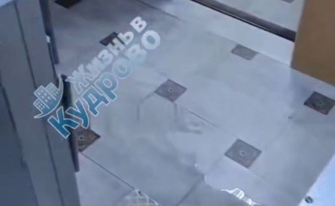    © Telegram-канал «Жизнь в Кудрово»