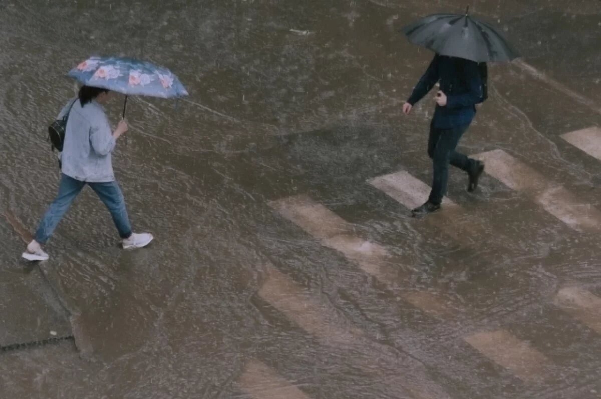    Сильные дожди и грозы придут в Удмуртию 19 августа