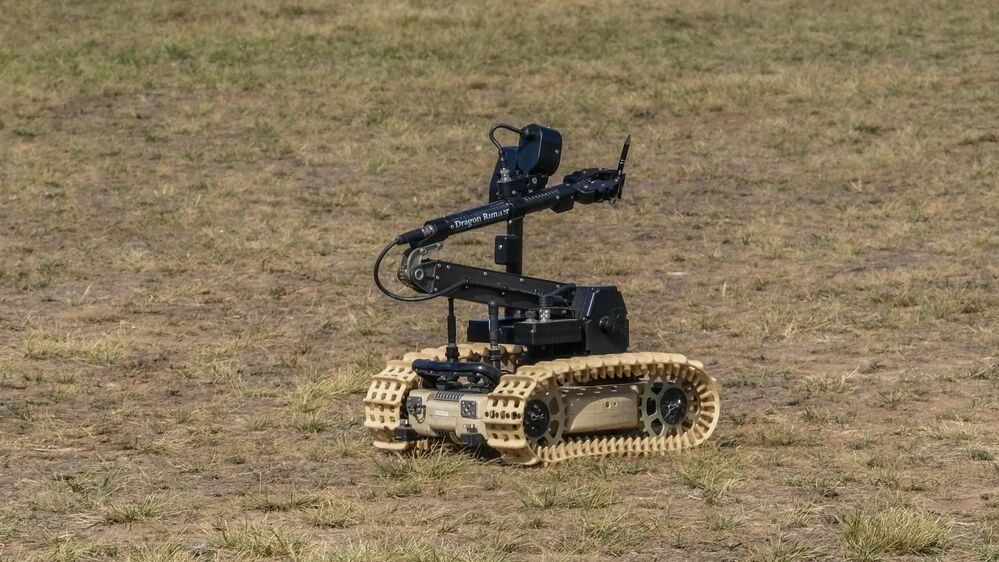    Фото: Alex Bogatyrev/Shutterstock/Fotodom