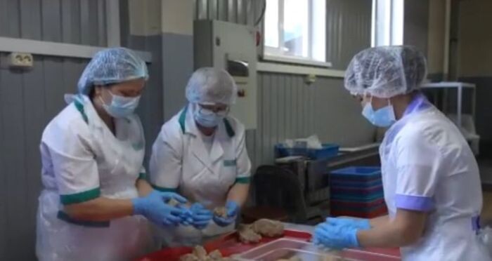 Иллюстрация: "Тавр"/скриншот с видео