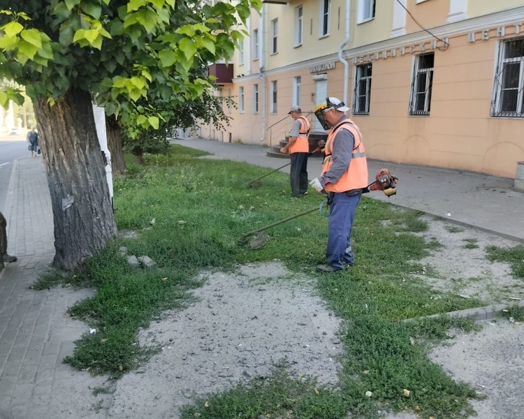     В Курске чистоту наводят 98 человек и 62 единицы техники