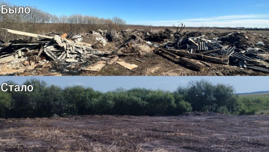    Фото: Минэкологии Татарстана